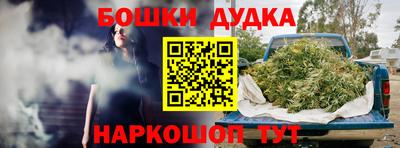 гидра Ачхой-Мартан