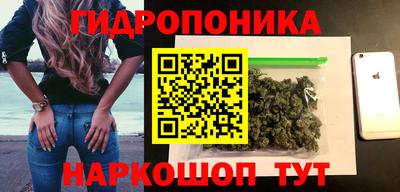гидра Ачхой-Мартан