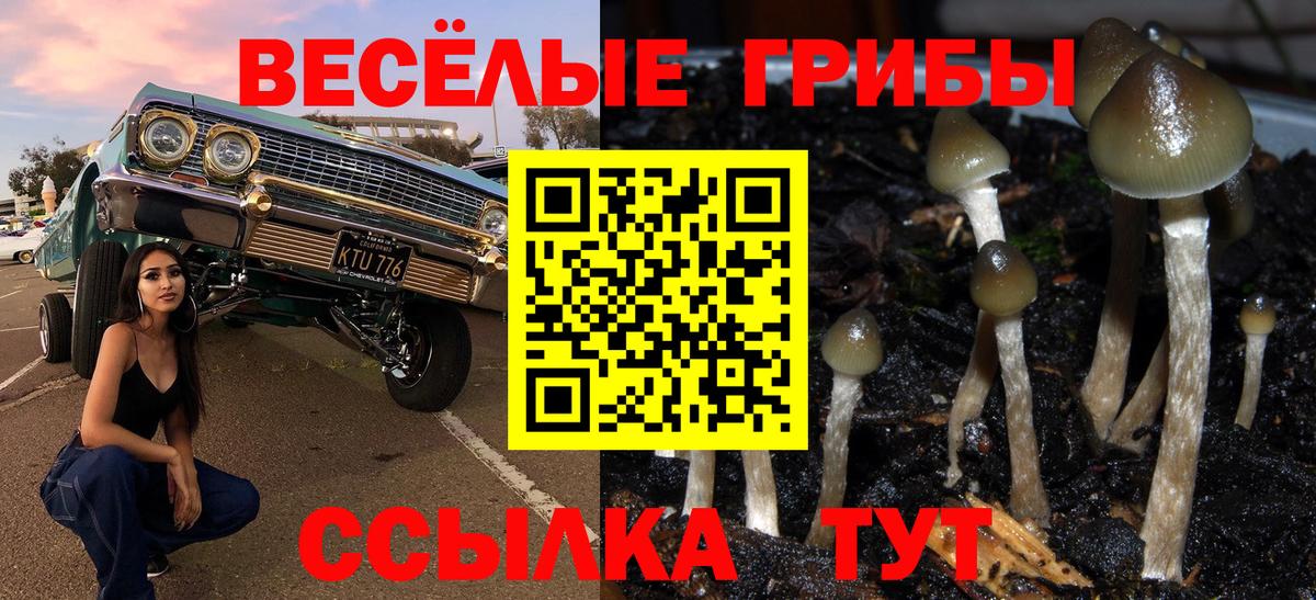 Псилоцибиновые грибы ЛСД Саяногорск